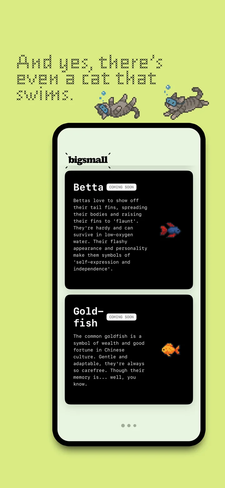 bigsmall App Store screenshot 4